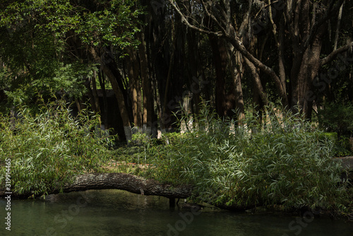 View of the beautiful Old Plantation   Ex hacienda de San Miguel Regla  in Hidalgo  Mexico