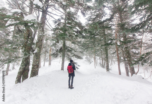 Landscape winter with traveler man with red backpack walking in pine trees forest that cover with snow in Shinhotaka ropeway, Japan