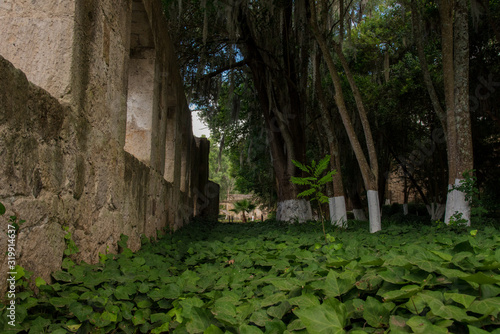 Fototapeta Naklejka Na Ścianę i Meble -  View of the beautiful Old Plantation ( Ex hacienda de San Miguel Regla) in Hidalgo, Mexico
