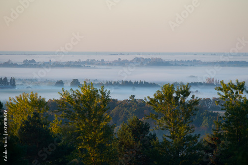 View of Rural Area with Morning Fog