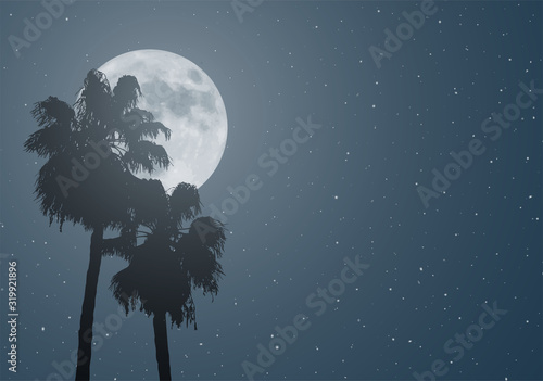 nice moon and palms