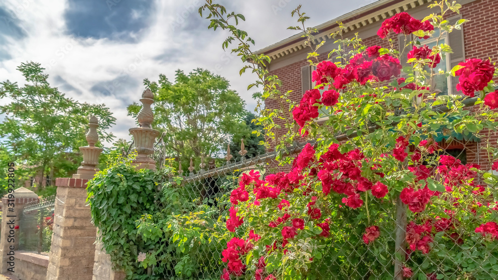 Panorama Residential building with wire and stone fence lined with flowers and plants