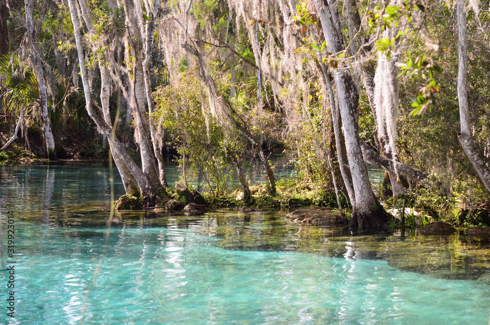 Naklejka premium Clear blue spring in Florida