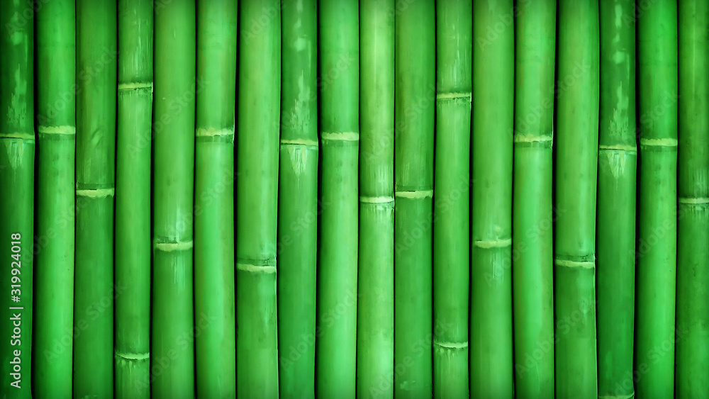 Fototapeta premium Bamboo texture background with natural patterns; bamboo fence texture background