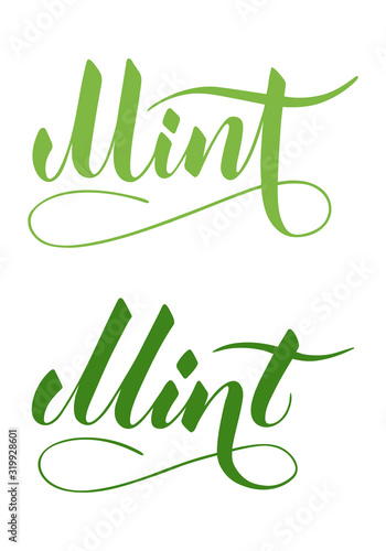 Vector hand written mint text isolated on white background. Kitchen healthy herbs and spices for cooking. Script brushpen lettering with flourishes. Handwriting for banner, poster, product label