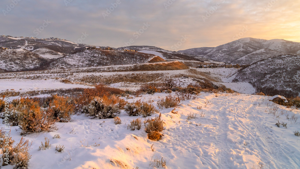 Panorama Hill landscape blanketed with snow and illuminated by sunlight at sunset