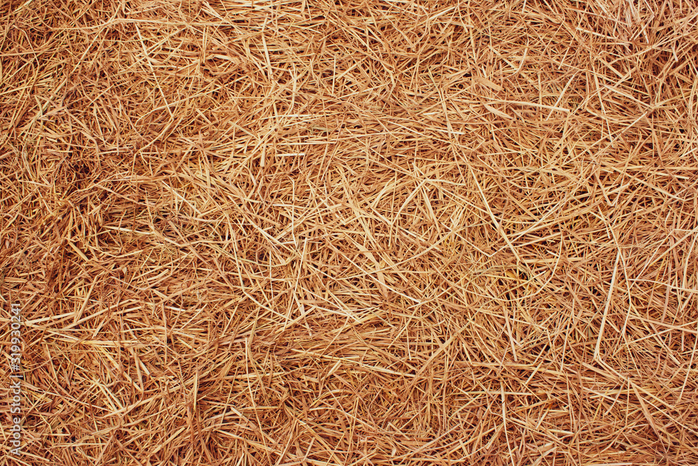 Straw surface texture. Cultivate and harvest concept. Straw surface texture. Cultivate and harvest concept.