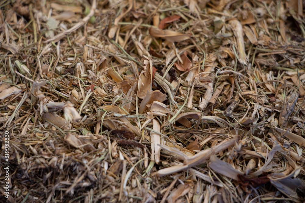 dry grass clippings dry grass clippings