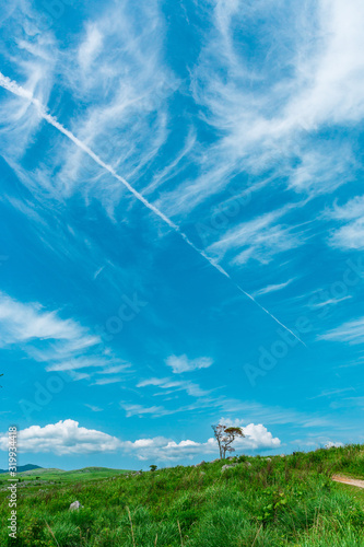 飛行機雲 © Tomohiko Abe