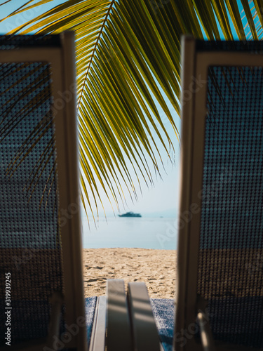 Chairs on Caribbean beach with coconuts tree at Roatán, Honduras