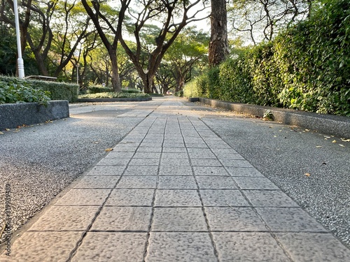 brick walkway in the park with tree in Thailand