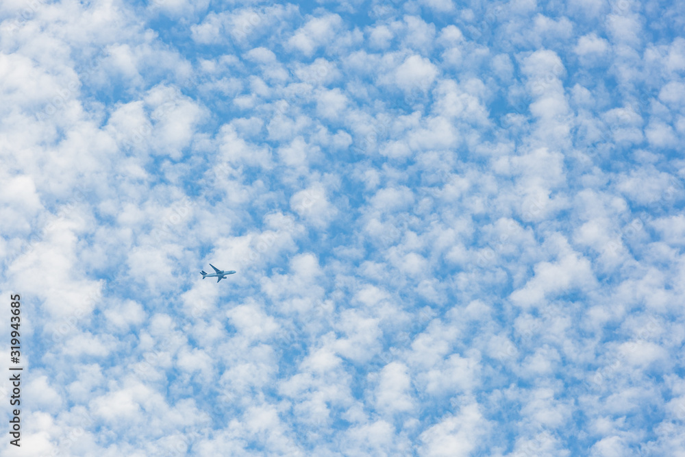 鱗雲と飛行機 鱗雲と飛行機