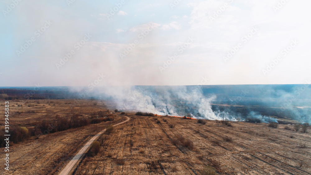 Forest and field fire. Dry grass burns, natural disaster. Aerial view.