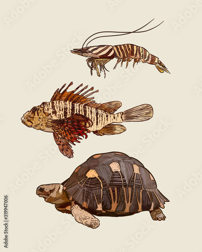 Set of animal, hand draw sketch vector.