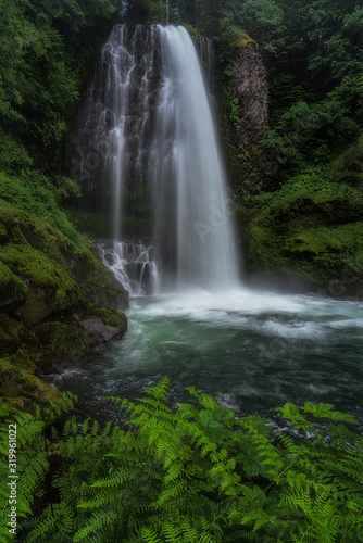 Fototapeta Naklejka Na Ścianę i Meble -  Forest Waterfall - Oregon Wilderness