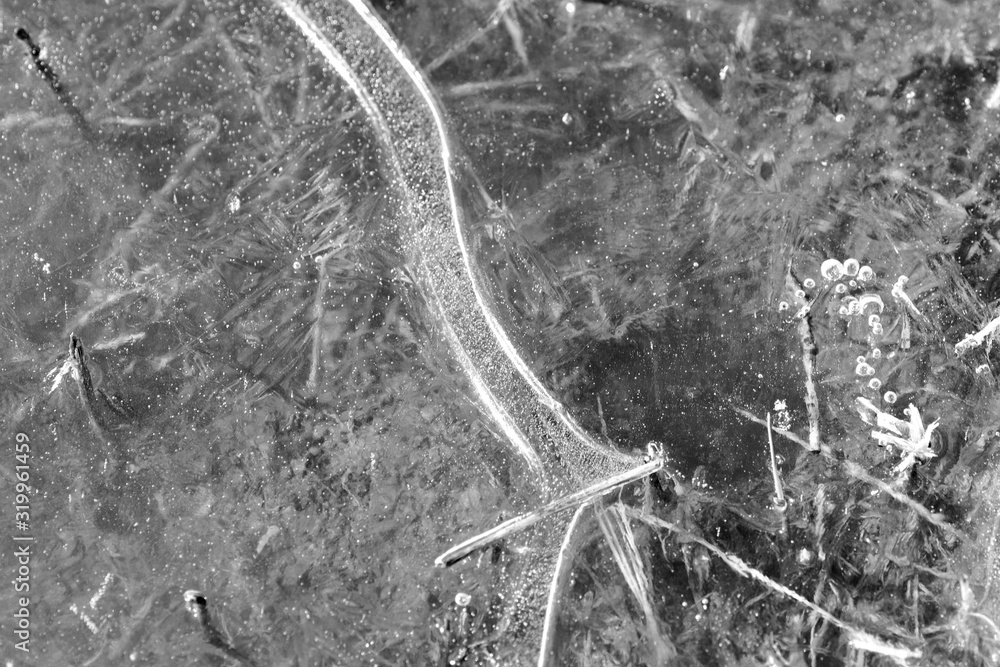 Obraz premium Last year's grass under spring transparent ice close-up, top view. Monochrome natural abstract background