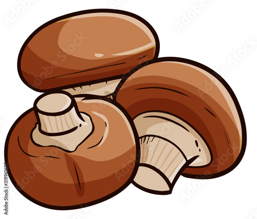 Cute and funny big rounded mushroom ready to get cooked