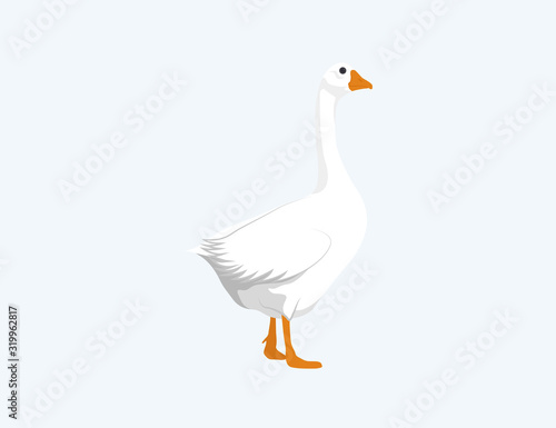 Goose vector icon isolated on white background, top view
