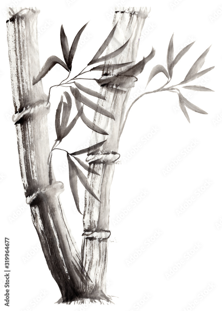 Fototapeta Floral illustration in Japanese folk painting style Sumi-e. Monochrome hand drawn fantasy stalks and leaves of bamboo isolated on a white background. Batik, book cover, tee shirt print