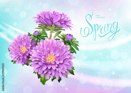 Beautiful floral background with bunch of blooming flowers of light violet Aster. Inscription Spring on pastel blue background. Vector illustration.