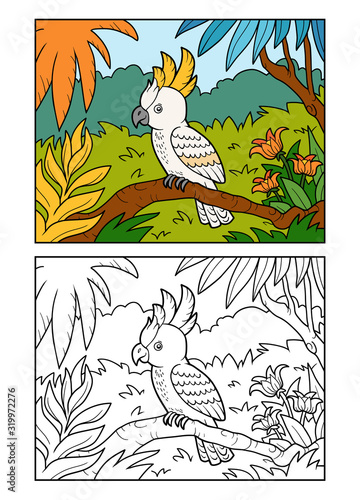 Coloring book, Cockatoo parrot in the rainforest