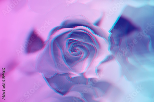 Roses background with glitch effect toned in neon colors. Contemporary abstract roses texture. Trendy surreal floral backdrop. Digital signal or analog screen error. Modern design, minimal art