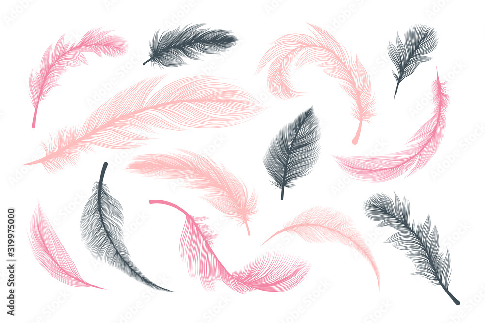Feathers, vector pink and black fluffy quill plumes isolated on white background. Abstract feathers with realistic plumage texture pattern, wedding and birthday design elements, softness concept