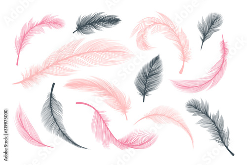 Feathers, vector pink and black fluffy quill plumes isolated on white background. Abstract feathers with realistic plumage texture pattern, wedding and birthday design elements, softness concept