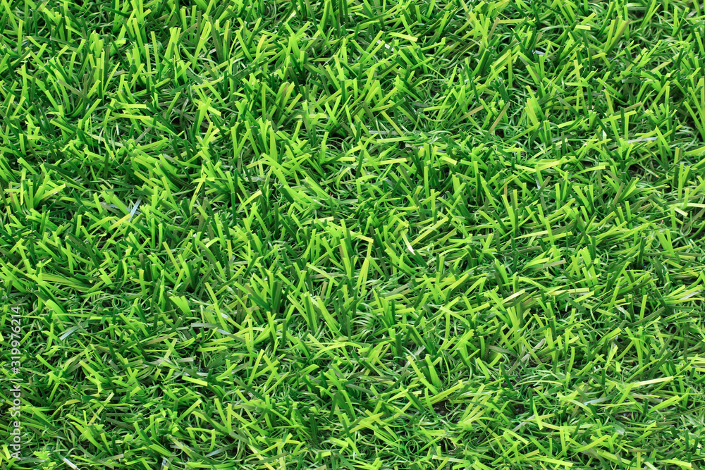 background of green grass background of green grass