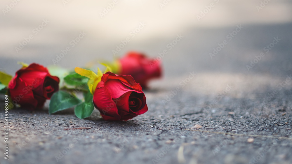 Red roses flower were abandoned on the floor