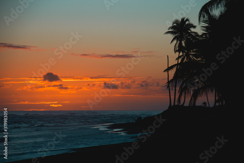 Sun is rising on the beach of a tropical island. Pink and orange sky, palm trees, waves: a postcard from paradise. Scenic view, vacation concept.