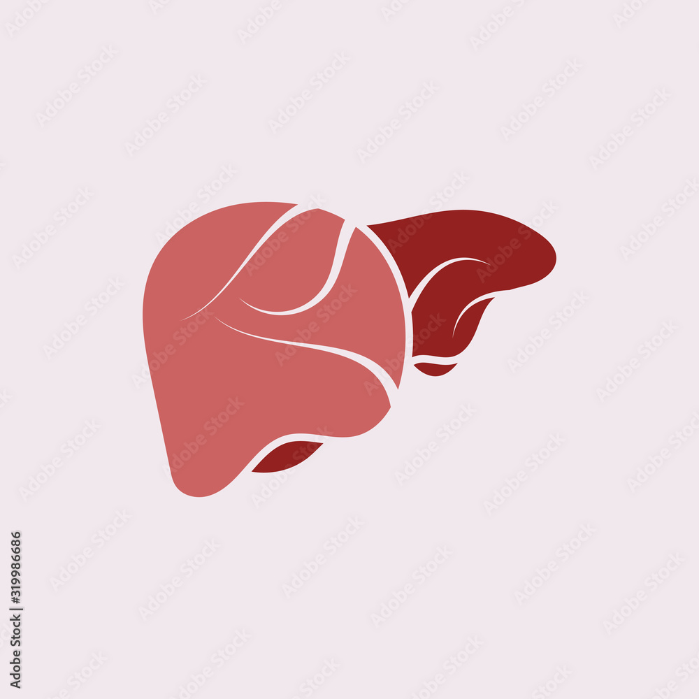Liver Icon Flat logo Style Organs Of The Human template Design Liver Icon Flat logo Style Organs Of The Human template Design