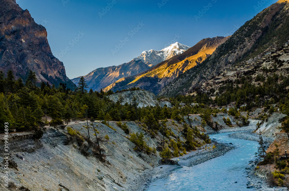 Evening mountain landscape in Marshyangdi river valley. Pine forest on small rough river bank near Upper Pisang village. Annapurna circuit trek, Nepal.