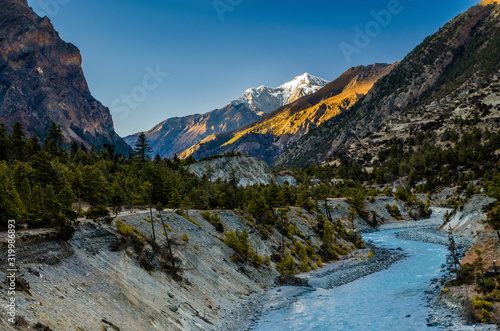 Evening mountain landscape in Marshyangdi river valley. Pine forest on small rough river bank near Upper Pisang village. Annapurna circuit trek, Nepal.