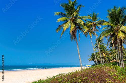 Exotic tropical beach with coconut palm trees and blue ocean under blue sky in GOA, India © lucky-photo