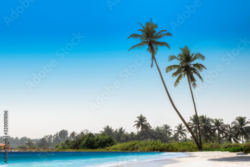 Exotic tropical beach with coconut palm trees and blue ocean under blue sky in GOA, India © lucky-photo