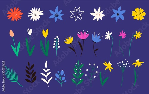 Collection of flowers in a flat style. Wild flower, tulip. Botanical vector. Design elements. Set of decorative floral. Illustration of nature flower spring and summer in garden.