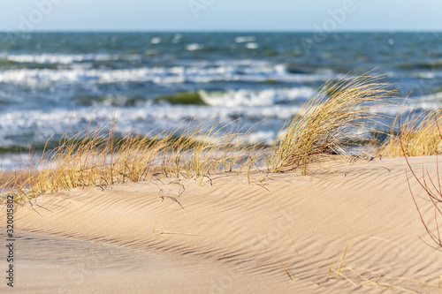 Fototapeta Naklejka Na Ścianę i Meble -  Sandy dunes and sea view 