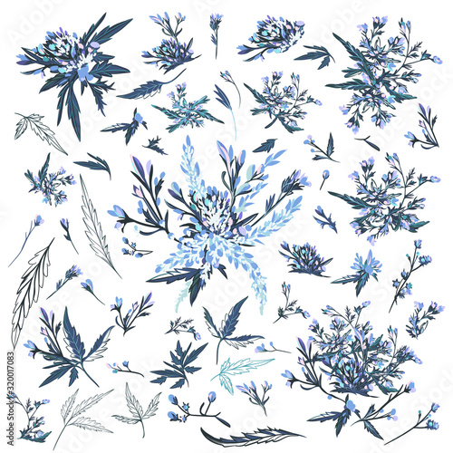 Set of vector elegant drawn field plants and flowers for design