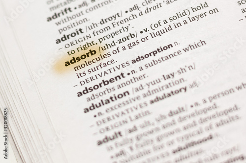 The word or phrase Adsorb in a dictionary. photo