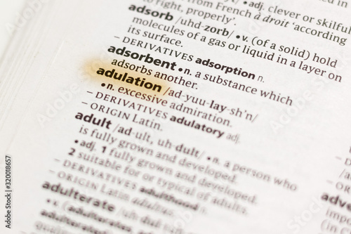 The word or phrase Adulation in a dictionary.