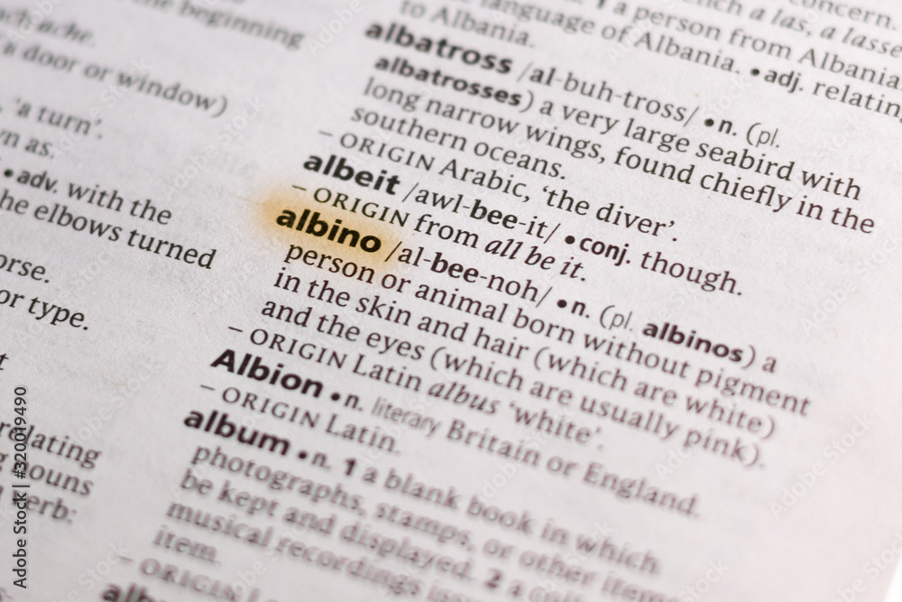 The word or phrase Albino in a dictionary. The word or phrase Albino in a dictionary.