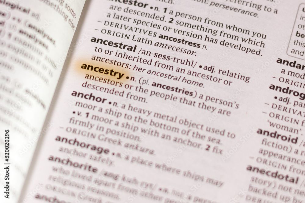 The word or phrase Ancestry in a dictionary. The word or phrase Ancestry in a dictionary.
