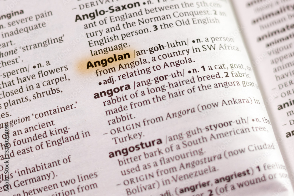 Fototapeta premium The word or phrase Angolan in a dictionary.