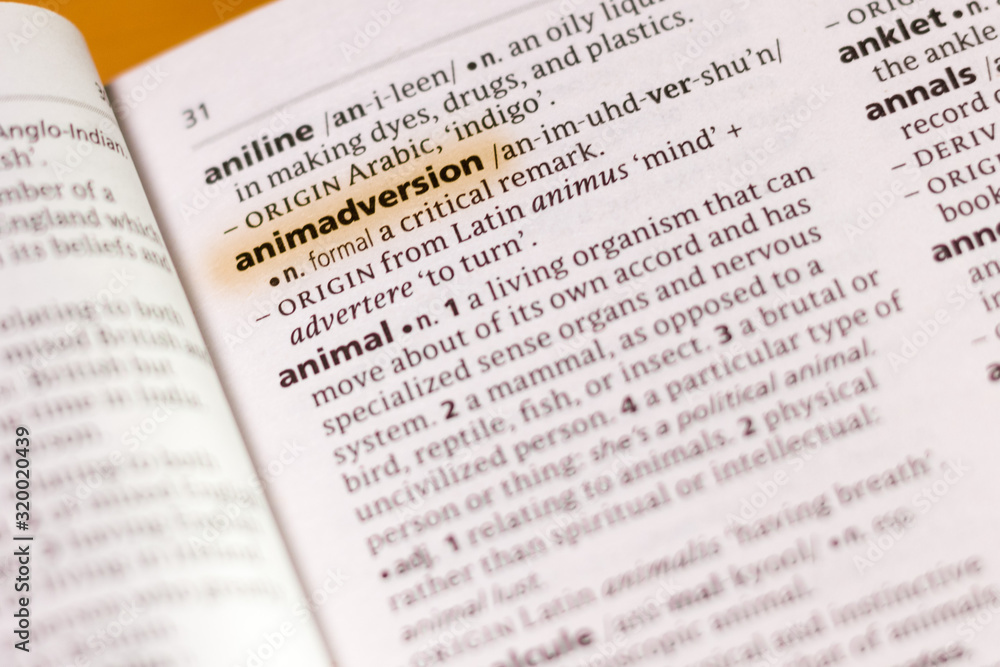 The word or phrase Animadversion in a dictionary. The word or phrase Animadversion in a dictionary.
