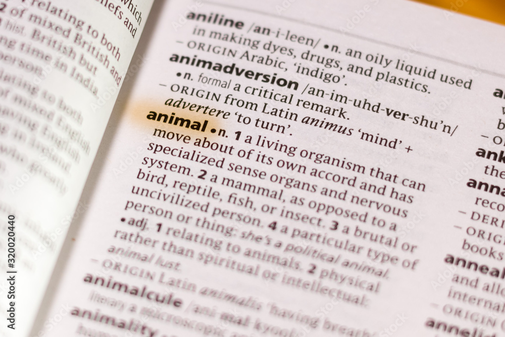 The word or phrase Animal in a dictionary. The word or phrase Animal in a dictionary.
