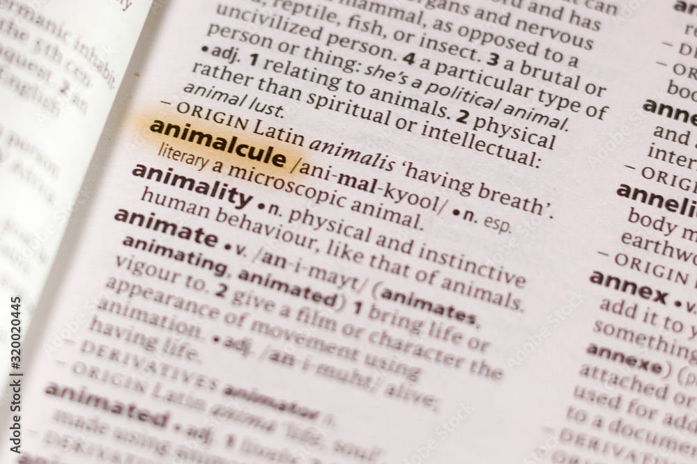 The word or phrase Animalcule in a dictionary. The word or phrase Animalcule in a dictionary.