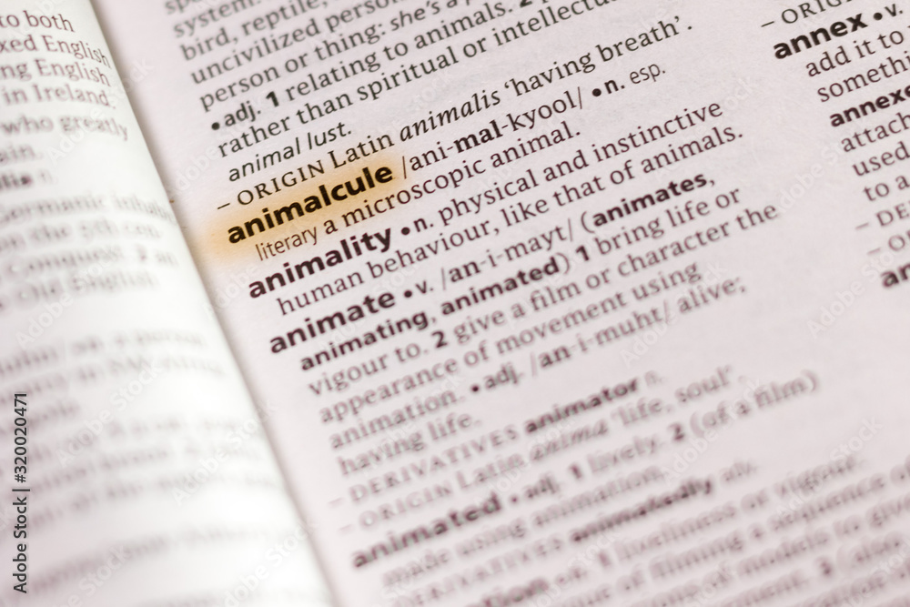 The word or phrase Animalcule in a dictionary. The word or phrase Animalcule in a dictionary.