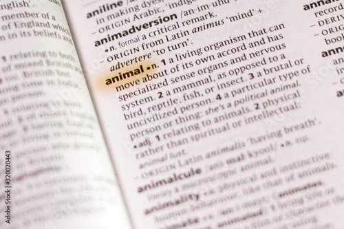 The word or phrase Animal in a dictionary.