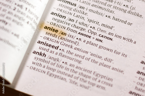 The word or phrase Anise in a dictionary.